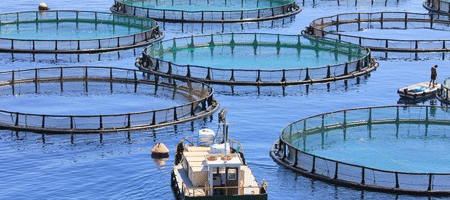 Aquaculture farming tour