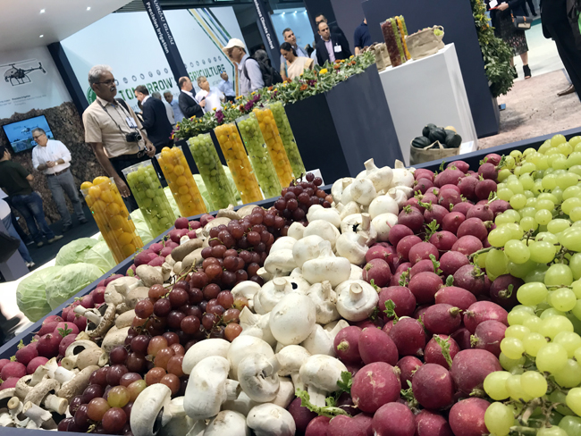 Desert agriculture successful in Israel - Agritech 2018