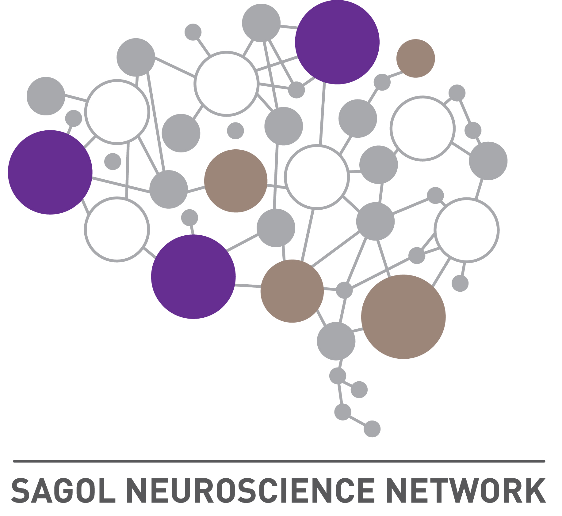 Sagol Neuroscience Network
