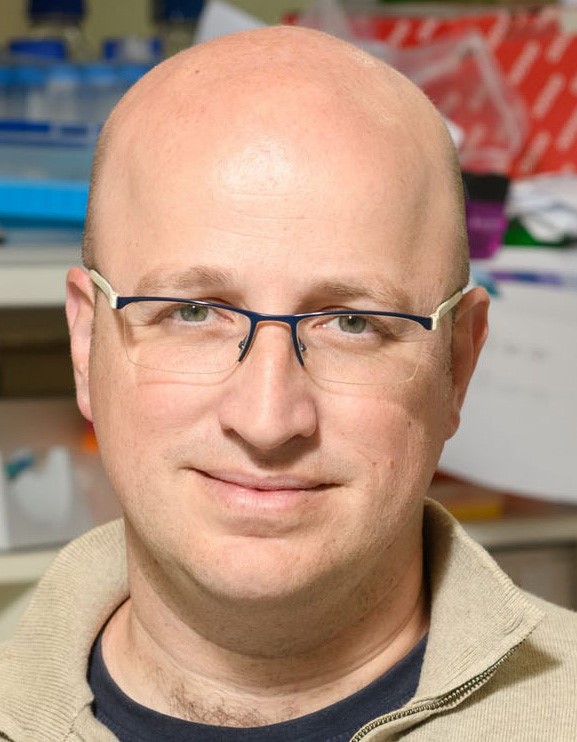 Read more about the article Prof. Igor Ulitsky